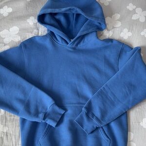 Aritzia Perfect Hoodie